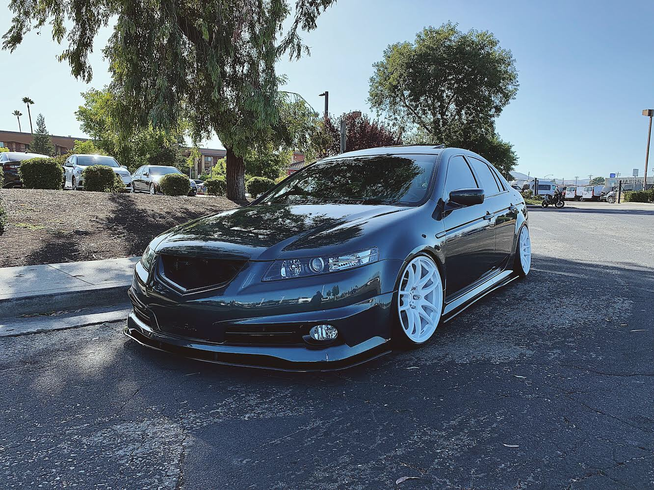 Side Splitters - Acura TL 2004-2008